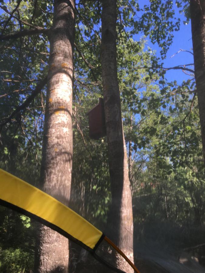 Savikulma Tentsile Tent Mynamaki Exterior foto